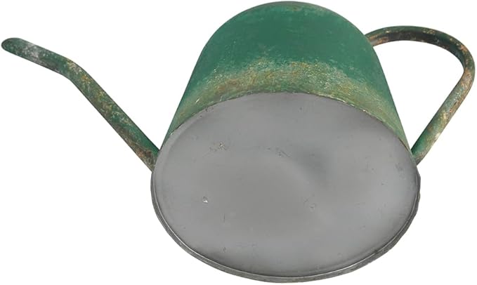 Large Watering Can Metal,Watering Can with Long Spout for Outdoor and Indoor Houseplants, 120oz/3.8L Large Plant Waterer