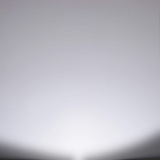 Energetic ST19 Vintage LED Edison Bulbs, 60 Watt Equivalent, ST64 LED Filament Bulbs, CRI 95+, Daylight 5000K, Non-Dimmable, E26 Standard Base, 6 Pack