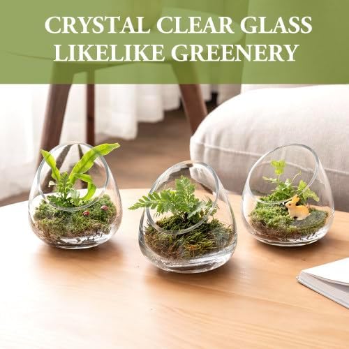 MyGift 5 Inch Premium Clear Glass Air Plant Terrarium, Tealight Candle Holder, Succulent Cactus Plant Vase, Set of 4