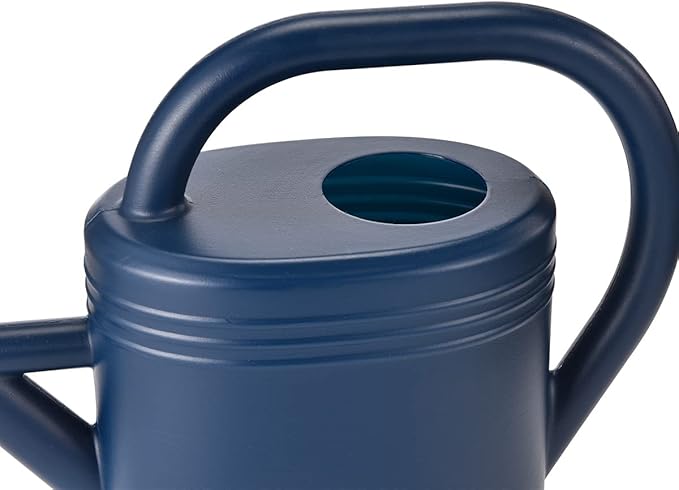 Watering Can 1 Gallon for Indoor Plants, Garden, Outdoor Plant House Flower, Gallon Large Long Spout with Sprinkler Head (Blue)