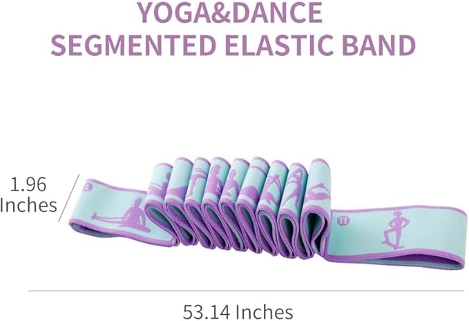 Resistance Bands 11 Loops with Guide Stretch Straps - Exercise Bands for Stretching, Yoga, Pilates & Physical Therapy - Elastic Fabric Workout Bands for Home Gym, Dance, Flexibility Training & Ballet Stretching Equipment