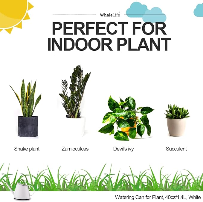 WhaleLife Indoor Watering Can for House Bonsai Plants (1.4L, White)