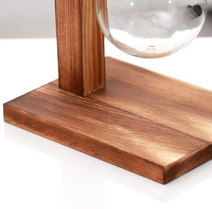 Kingbuy Retro Glass Bulb Vase for Plant Propagation - Hydroponic Planter with Wooden Stand, Indoor Water Propagation Station, Desktop Terrarium Glass Planter for Home Garden Plants (2 Bulb Vases