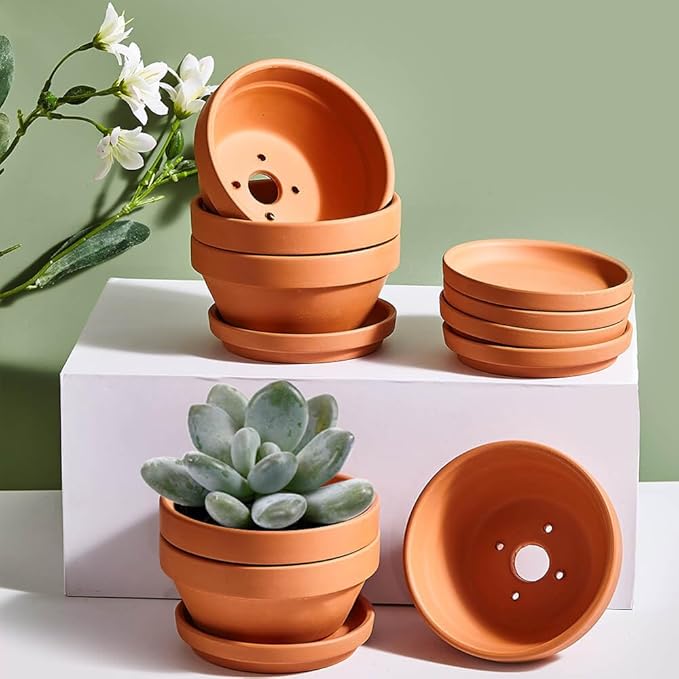 5 Inch Shallow Terracotta Pot for Succulent - 6 Pcs Small Shallow Plant Pots with Drainage Hole and Saucer, Clay Plant Pottery Pots for Cactus Succulent and Other Indoor Outdoor Plants