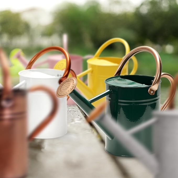 Metal Watering Can with Removable Spout, Galvanized Watering Can, Perfect for Indoor Use and for Outdoor Use (1 Gallaon, Metal)