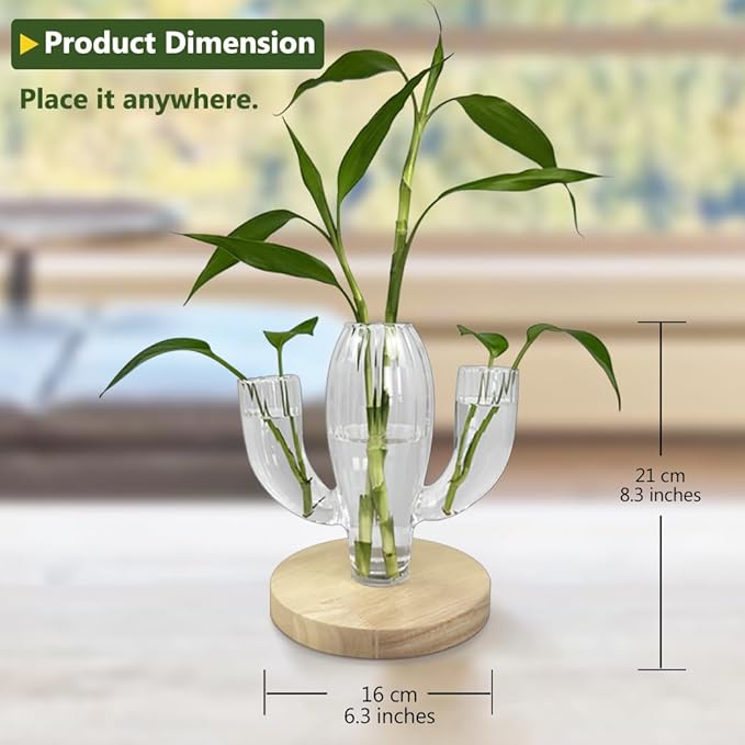 Plant Propagation Stations, Unique Cactus-Shaped Plant Propagating Vase, 3 Independent Areas for Various Plants, Gardening & Housewarming Gifts for Plant Lovers, Home or Office Decor