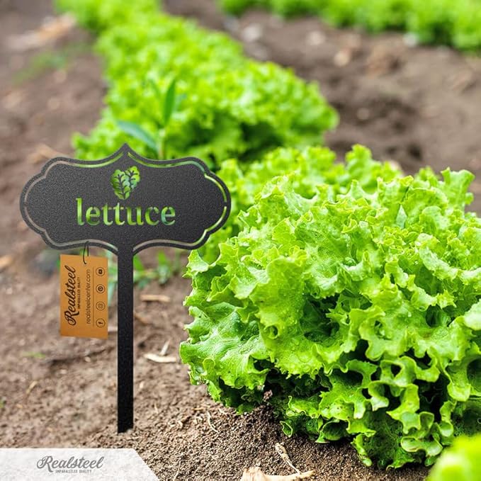 RealSteel - Seed & Plant Markers - Indoor/Outdoor Herb Garden Stakes - Elegant Fruit/Vegetable Seed Labels - Durable Plant Tags for Pots - Classy Design for Farmhouse/Greenhouse (Broccoli)