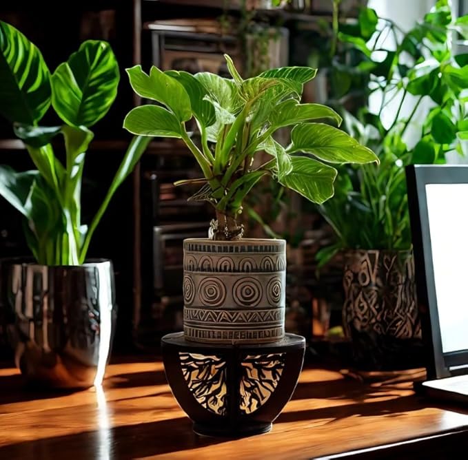 Indoor Wooden Plant Stand Holder for Sill, Desktop, - Single Flower Pot Rack for Small Plants - Unique Tree Root Design Elevate Your Plants in Style and Provide Additional Sunlight