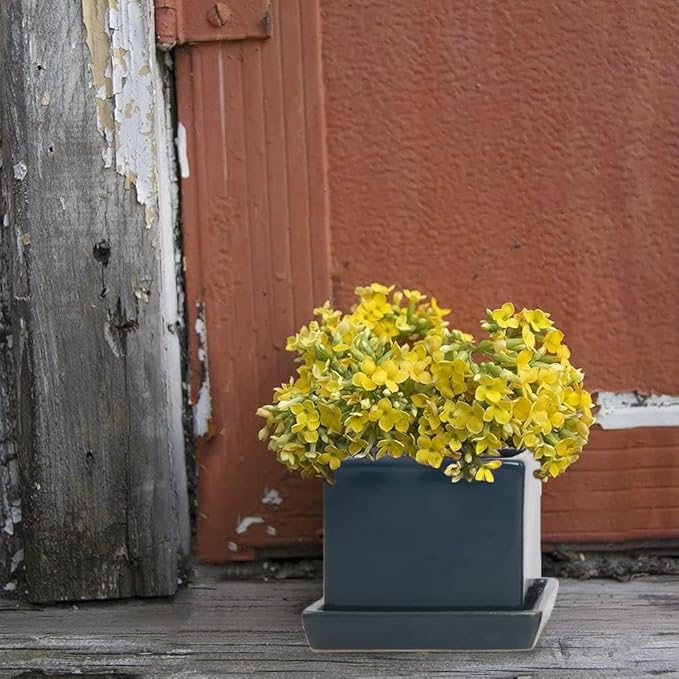 CHIVE - 3 Piece Set Square Succulent Cactus Planter Pot, 3 Inch Ceramic Flower Plant Container, Drainage Hole/Saucer, Mini Pot Indoor/Outdoor Garden (Green Blue)