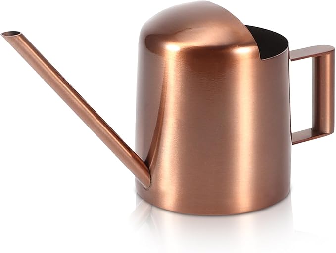 Small Watering Can, 10oz/300ml Stainless Steel Water Can for Indoor Plants Small Long Spout Watering Pot for House Plants, Succulents and Bonsai