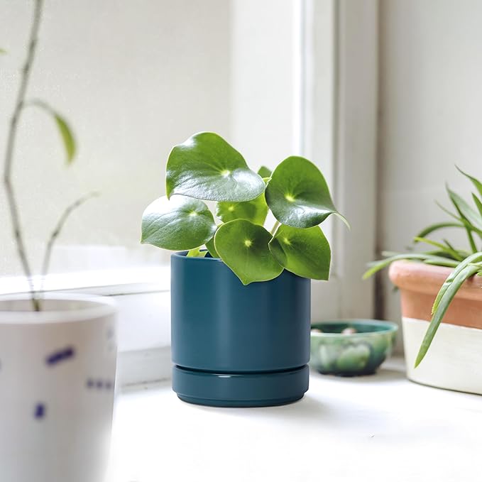 D'vine Dev 3 Inch & 4 Inch & 6 Inch, Set of 3 Round Ceramic Planter Pot with Drainage Hole and Saucer, Teal, 94-T-S-9