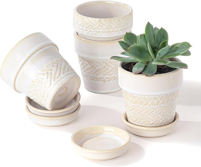 Succulent pots,Indoor Small Succulent Bonsai,3 Inch Mini Ceramic Succulent Pots with Saucer and Drainage Hole, Decorative Planter for Succulent, Cactus, Set of 4.