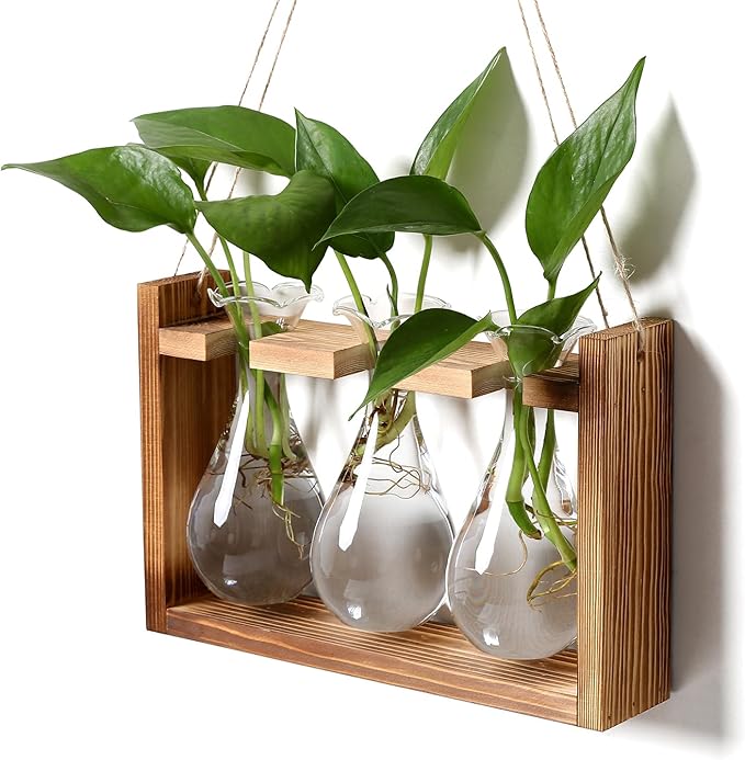 Glass Plant Propagation Station Bulb Planter Vase with Wooden Stand Birthday Gifts for Women Mom Plant Lovers Office Home Decoration