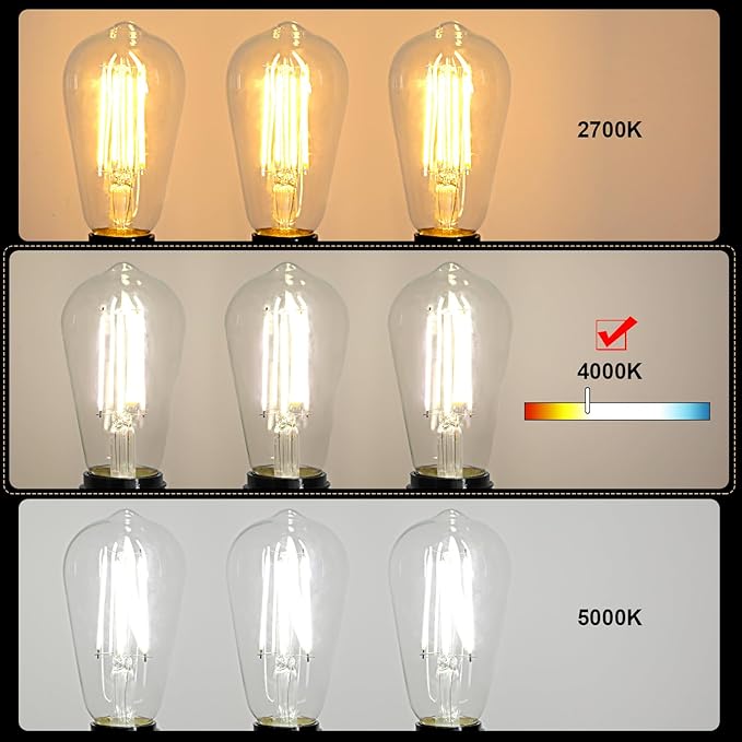 Ascher 12 Pack Vintage LED Edison Light Bulb 60W Equivalent, Decorative Antique Filament Light Bulbs with 80+ CRI, Cool White 4000K, 700 Lumens, E26 Base, Non-Dimmable
