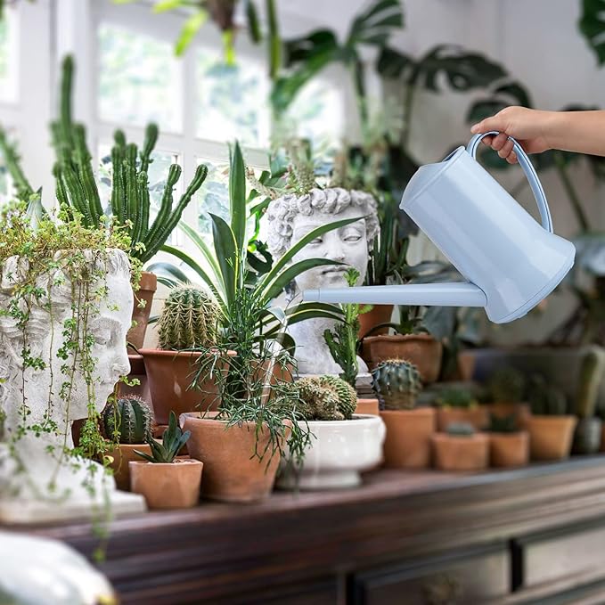 XXXFLOWER 1/2 Gallon Small Indoor Plant Watering Can, 2L Long Spout Removable Nozzle Flower Watering Pot for Office House Indoor Garden(Blue, 67 oz)