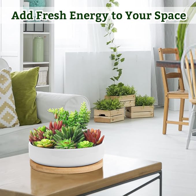 ZOUTOG Succulent Pots,6 Inch Succulent Planters with Drainage and Tray,White Ceramic Planters for Indoor Plants,Round Shallow Flower Plant Pots,Pack of 2