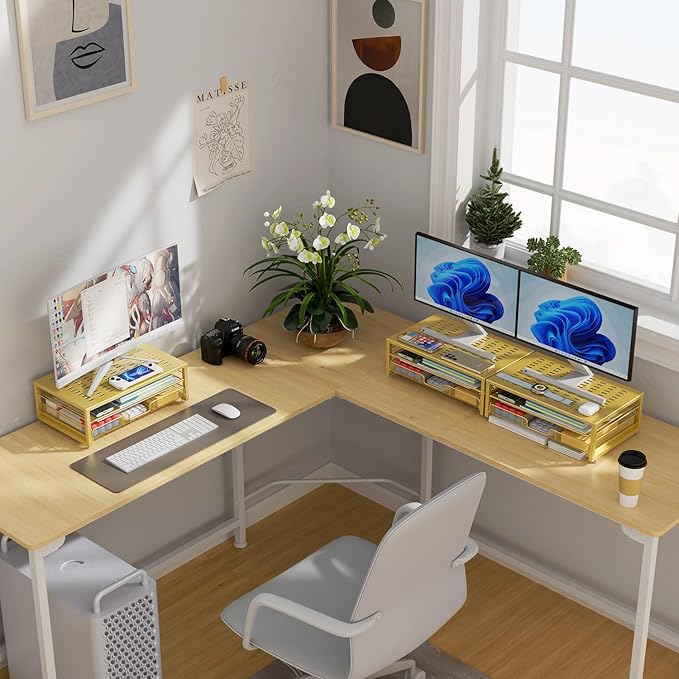 gianotter Computer Monitor Stand Riser, office organizer with Drawer, Office Organizers Storage for Classroom Office Supplies (Gold)