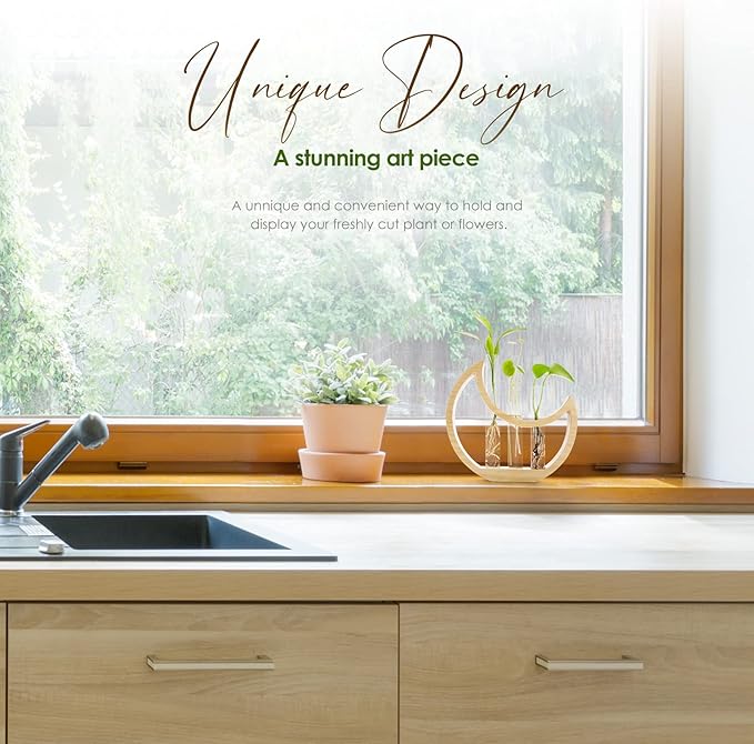 Plant Propagation stations, Crescent Moon Table Terrarium Stand for Indoor houseplants, Wooden Wall Boho Hanging Planter Vase with Glass Test Tube for Office Decor Aesthetic, Gift for Women Mom