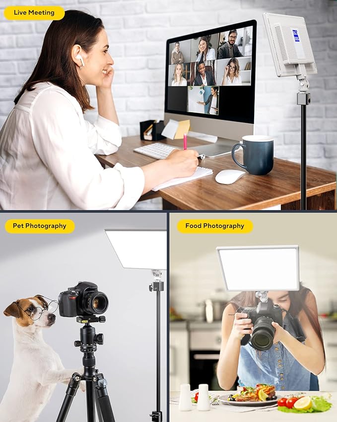 RALENO Led Video Light, Built-in 4000mAh*2 Battery 3200-5600K CRI95+ 0-100% Brightness Adjustment on Camera Light, for Vlog Lighting Video Conference YouTube Studio Photography