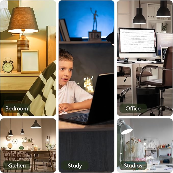 BUBO A19 LED Light Bulbs, 100 Watt Equivalent LED Bulbs, Daylight 5000K, 1500 Lumens, E26 Standard Base, Non-Dimmable, 13W Soft White LED Bulbs for Bedroom Living Room Home Office, 24 Pack