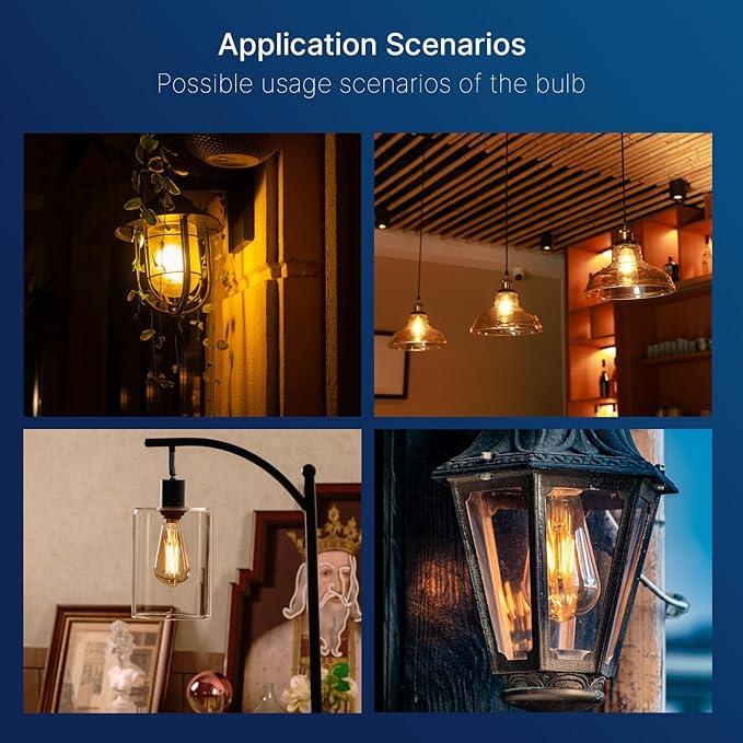 FLSNT 100W Equivalent LED Edison Bulbs, ST19 Dimmable Antique LED Light Bulbs, 2450K Warm White, 8W, 900LM, E26 Base, Amber Glass, 12 Pack