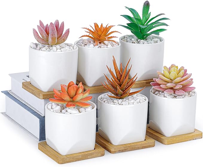 ARTKETTY Succulent Pots - 3 Inch Small Succulent Planter Pot with Drainage Trays Set of 6, Ceramic Planters for Indoor Plants Cactus Flower Plant for Home Office