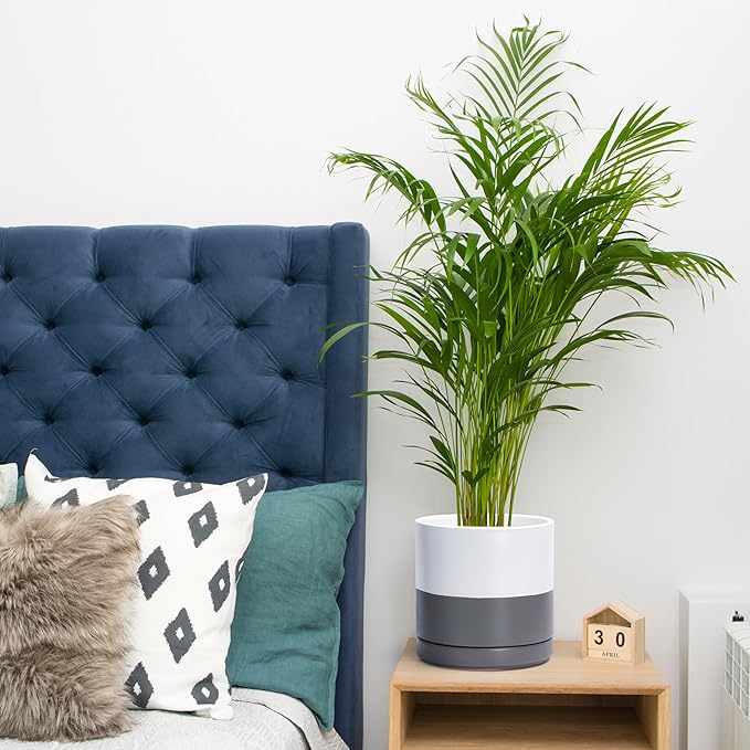 D'vine Dev 4 Inch & 6 Inch & 8 Inch, Set of 3 Round Ceramic Planter Pot with Drainage Hole and Saucer, White/Speckled Grey, 94-T-M-6