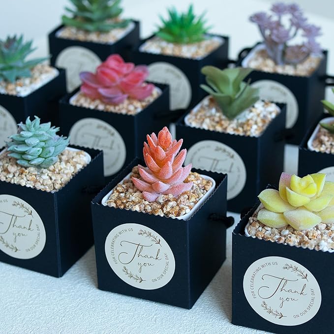 Temlum 2.5 Inch Succulent Wrap Bags (Fits 2.5″ Pots) with Thank You & Watch Me Grow Stickers, Small Succulent Gift Box for Wedding, Baby Shower, Succulent Party Favors for Guests (Black 40pcs)