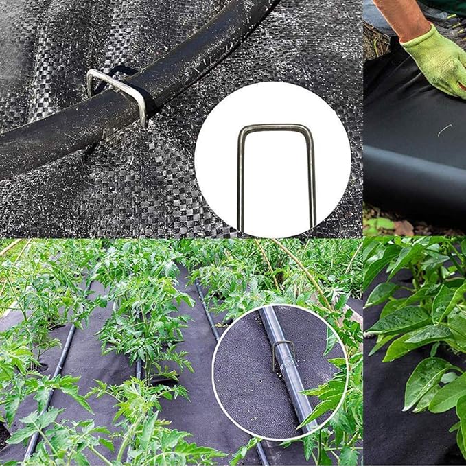 200 Pack 12" Garden Stakes Pins,Heavy Duty Garden Landscape Staples Stakes Pins Galvanized Landscape Fabric Staples Sod Ground Staple for Anchoring Weed Barrier Fabric
