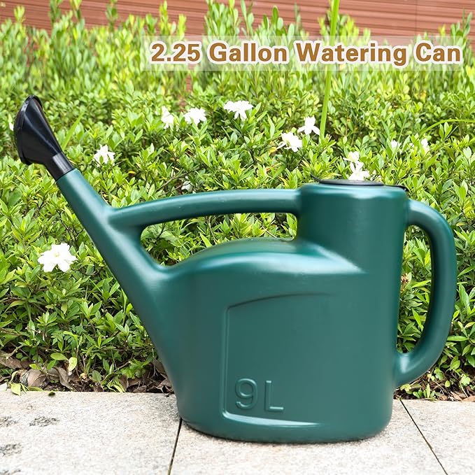2+ Gallon Watering Can for Outdoor Plants,Large Garden Watering Can with Long Spout, Lid and Detachable Sprinkler Head, Leak Proof Heavy Duty Plastic Watering Pot for Indoor Plants - 9L