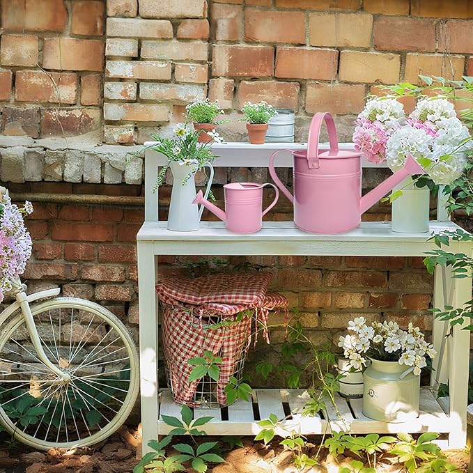 Small Metal Watering Can Set, Pink, 1.2L and 0.23L Garden Cans with Long Spout, Indoor Outdoor Plant Care (Pink)