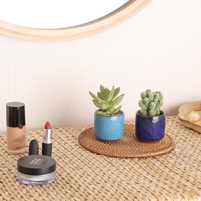 T4U 2.5 Inch Small Ceramic Succulent Planter Pot with Drainage Hole Set of 12, Ice Crack Glaze Plant Container for Cactus, Plant Lover Gifts for Women Mom Coworker Home Office Decor