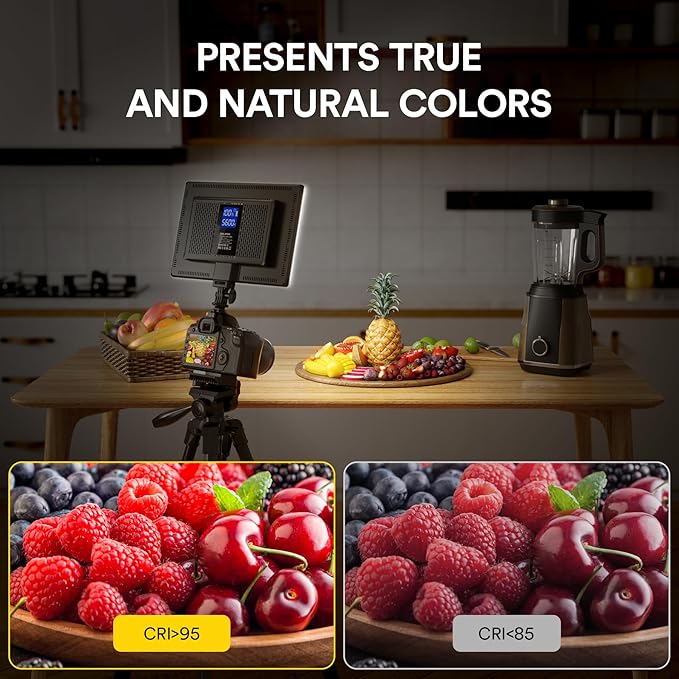 RALENO 19.5W LED Video Soft Light Panel, 650Lux/m Camera Panel Light Built-in 8000mAh Battery, CRI>95 3200-5600K Photography Studio Lights for TikTok YouTube Video Recording Photography Streaming