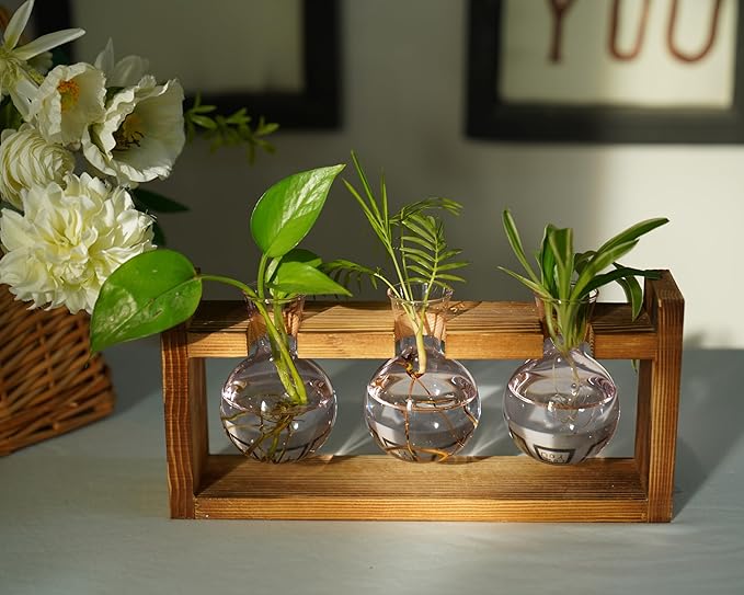 Kingbuy Glass Plant Terrarium Propagation Station - 3 Bulb Colored Vases with Retro Wood Stand Indoor Garden Planter - Wall Mounted & Desktop Decor for Home Kitchen Wedding, Gift for Plant Lover, Pink