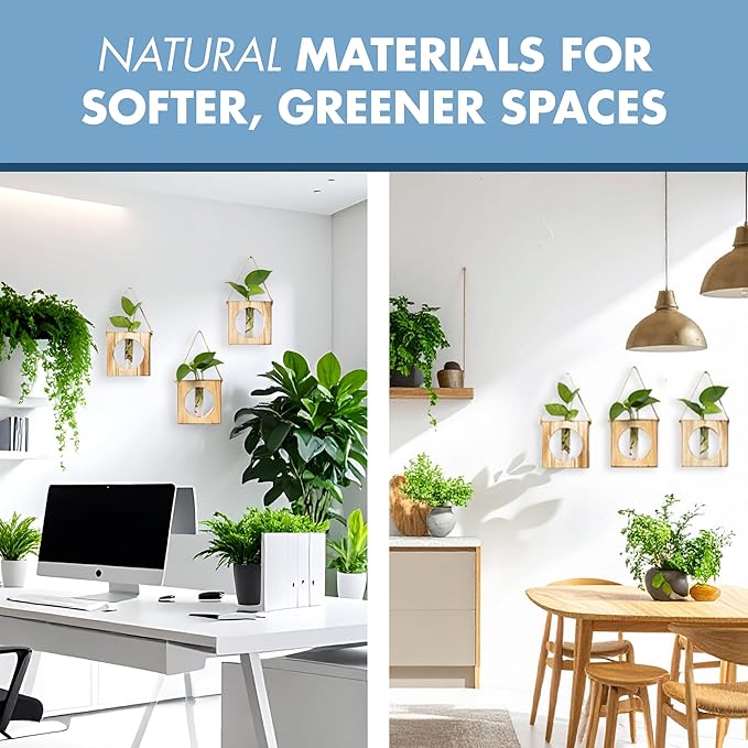 · GARDEN REPUBLIC · Propagation Stations Set of 2 - Propagation Vases for Plants - Hanging Wooden Wall Planter and Glass Test Tubes - Indoor Plant Holder, Hydroponic Decor