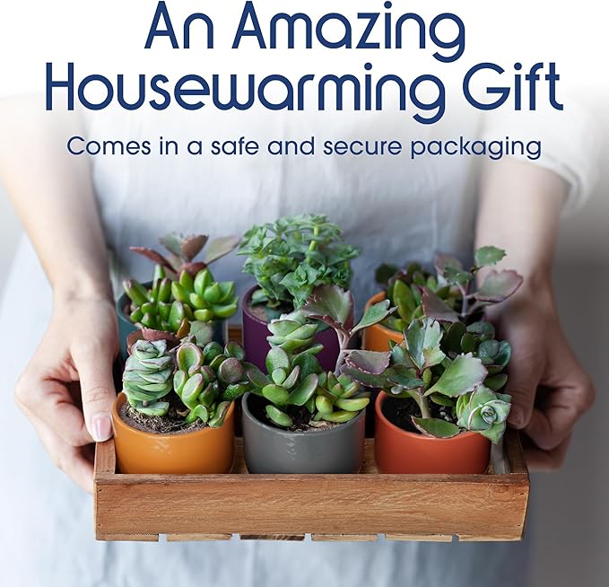 Mini Succulent Plant Pots โ 2.5" Ceramic Planters with Bamboo Coasters, Set of 5 | Small Indoor Pot Set, Sunrise Color Theme, Drainage Hole, Decorative Gift Box