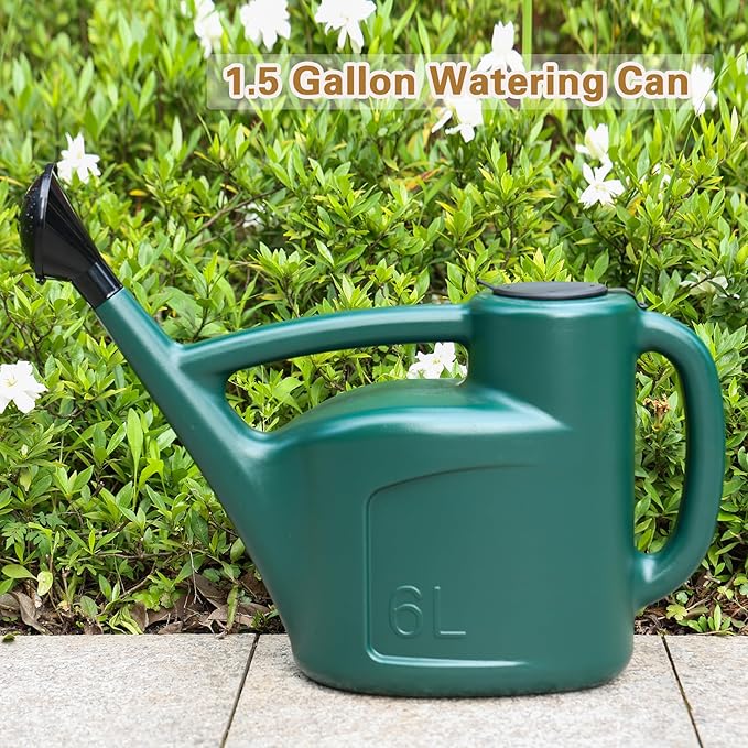 1.5 Gallon Watering Can for Outdoor Plants, Large Plastic Water Can with Long Spout, Lid and Detachable Sprinkler Head, Lightweight Watering Pot for Indoor Houseplants and Garden Flower - 6L