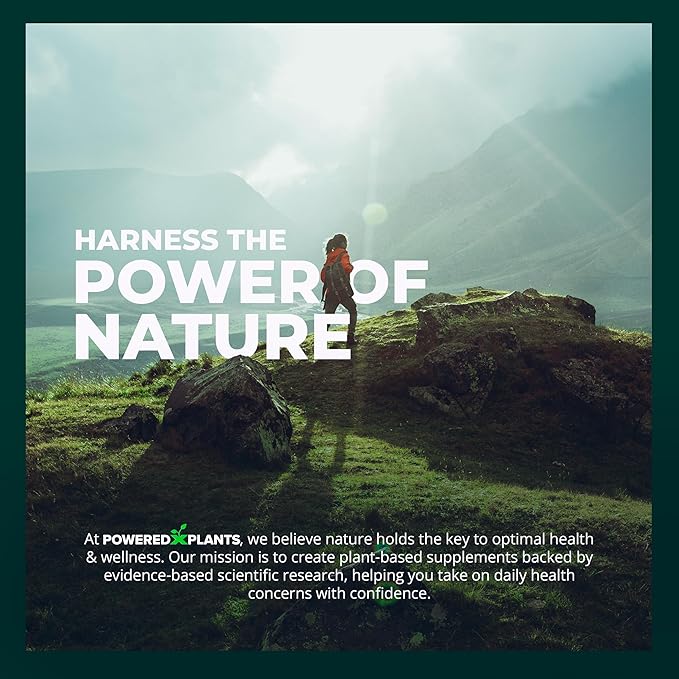 Hemp Oil Roll On - Menthol Rub with Boswellia & Arnica - 12,000mg Extra Strength Oil for Muscle Discomfort by Powered X Plants - Pack of 2, 3 fl.oz.