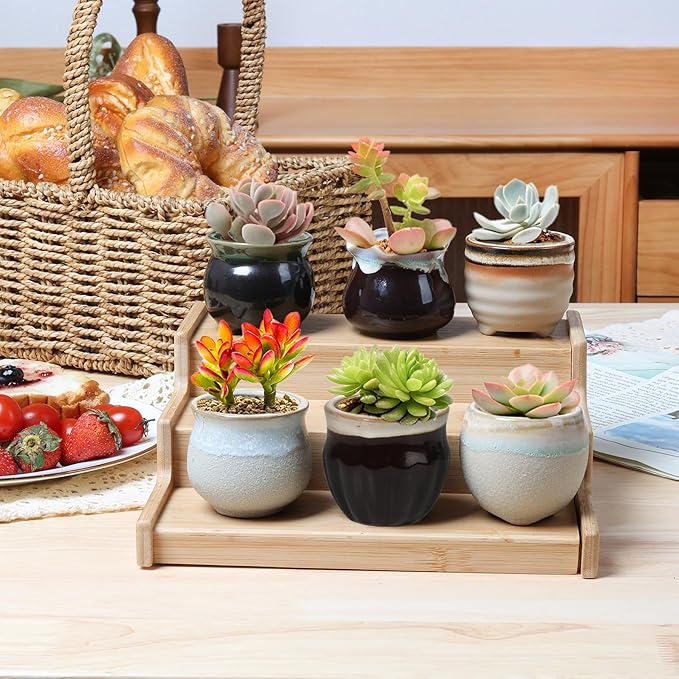 T4U Small Ceramic Succulent Pots with Drainage - Set of 12, Mini Pots for Plants, Home and Office Decor, Plant Lover Gifts for Women