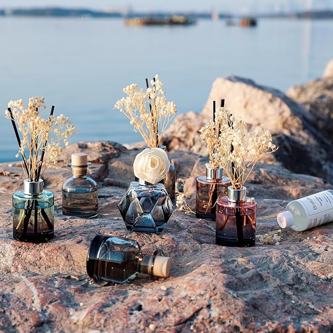 Brakula Reed Diffuser Set, 6.09 fl oz (180 ml)- Eucalyptus & Wild Mint with 8 Reed Sticks, Home Fragrance Reed Diffuser for Bathroom Shelf Decor