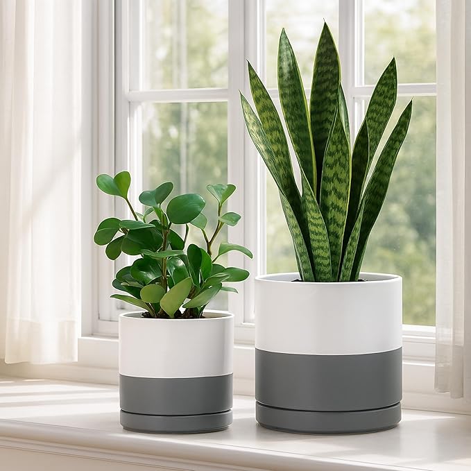 D'vine Dev 6.5 Inch & 8.2 Inch Ceramic Planter Pots for Plants with Drainage Hole and Saucer, Medium Plant Pots Set, White/Speckled Grey, 94-G-M-6