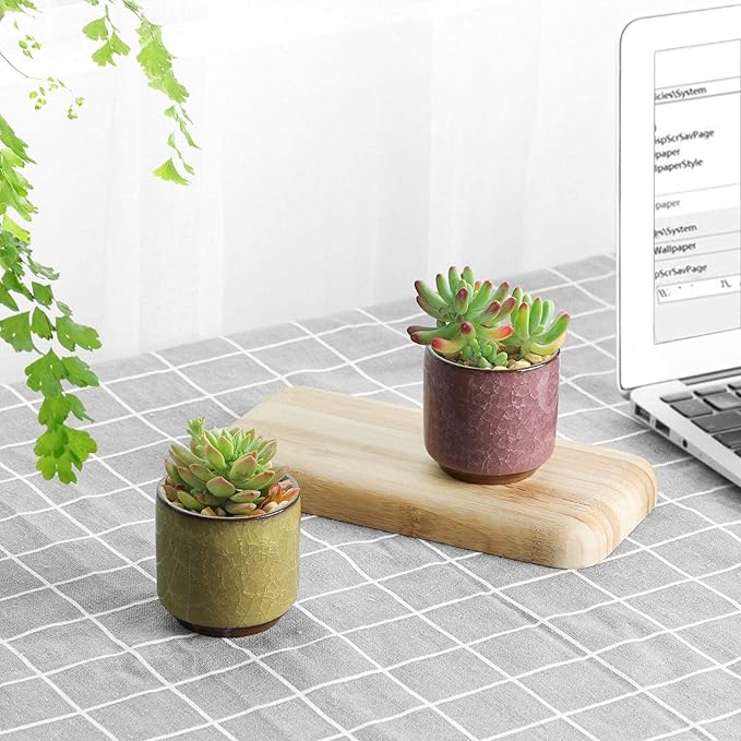 T4U 2.5 Inch Small Ceramic Succulent Planter Pot with Drainage Hole Set of 6, Ice Crack Glaze Plant Container for Cactus, Succulent Plant Gifts for Women Mom Aunt Home Office Decor