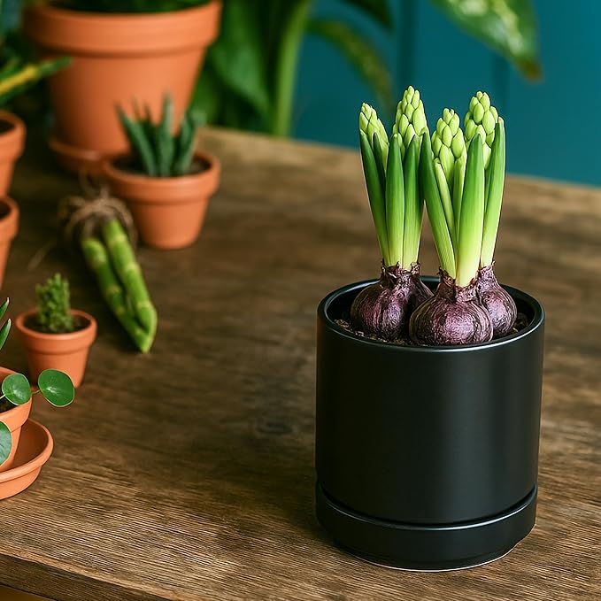 D'vine Dev 4.7 Inch & 6.5 Inch Ceramic Planter Pots for Plants with Drainage Hole and Saucer, Small Plant Pots Set, Black, 94-G-S-2