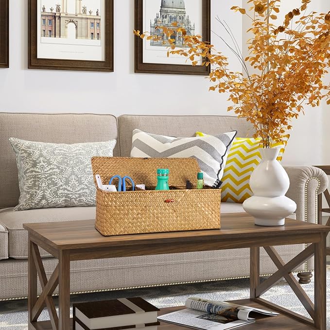 Wicker Shelf Baskets with Lid, Seagrass Basket for Storage Rectangular Woven Baskets Boxes 3-Section Home Decor Organizer (Natural Large)