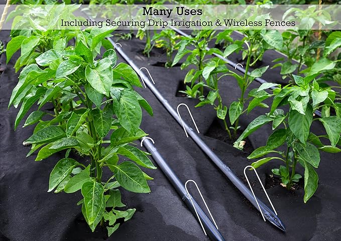 Sandbaggy Galvanized 6-Inch Landscape Staples ~ 9 Gauge Steel - Fabric Pins, Garden Earth Stakes, Ground Cover, Fence Anchors, Lawn Nails ~ Trusted by Organic Farmers Across The USA (1,000 Staples)