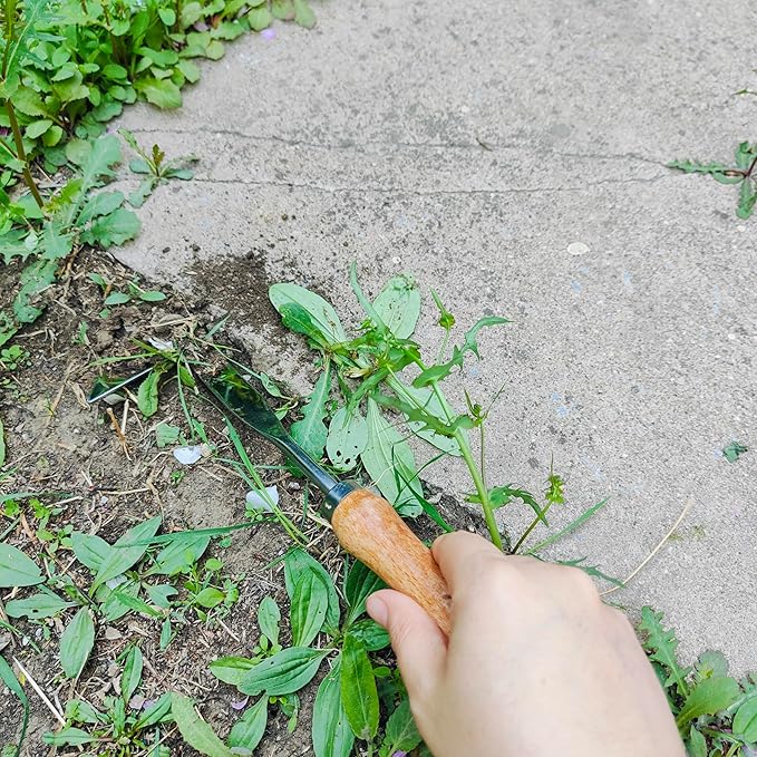 Gardening Tool, Weeder Tool Set Weeding Artifact Uprooting Tool for Garden & Patio (3pcs Weeder Tool 01)