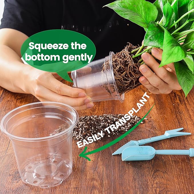 36 Packs 5/4/3.5 Inch Clear Nursery Pots with Humidity Domes, Transparent Plant Pots with Drainage Holes, Variety Pack Seed Starting Pots for Succulents, Flowers and Cactus