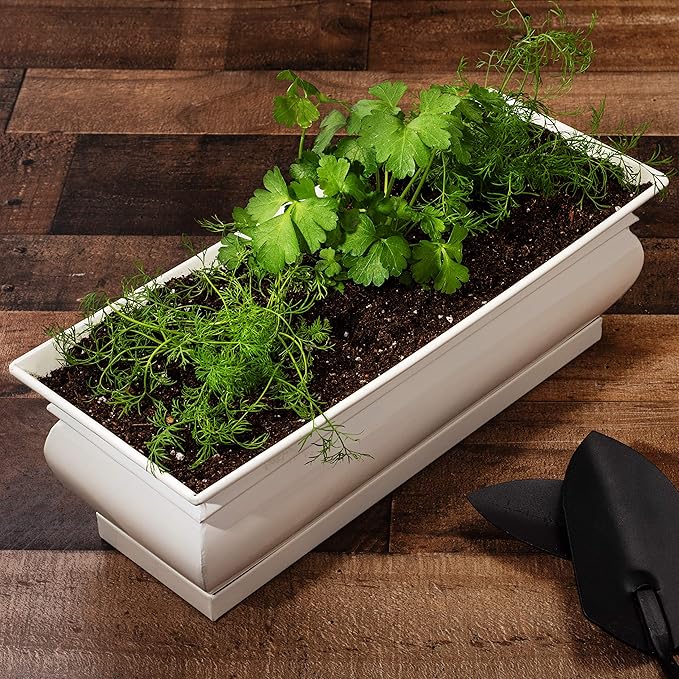 H Potter Herb Pots Indoor Planters with Drainage and Tray White Succulent Planter Window Sill Box Large Rectangular Outdoor Kitchen Flower Pot Garden Succulents Plants Ivory (2)