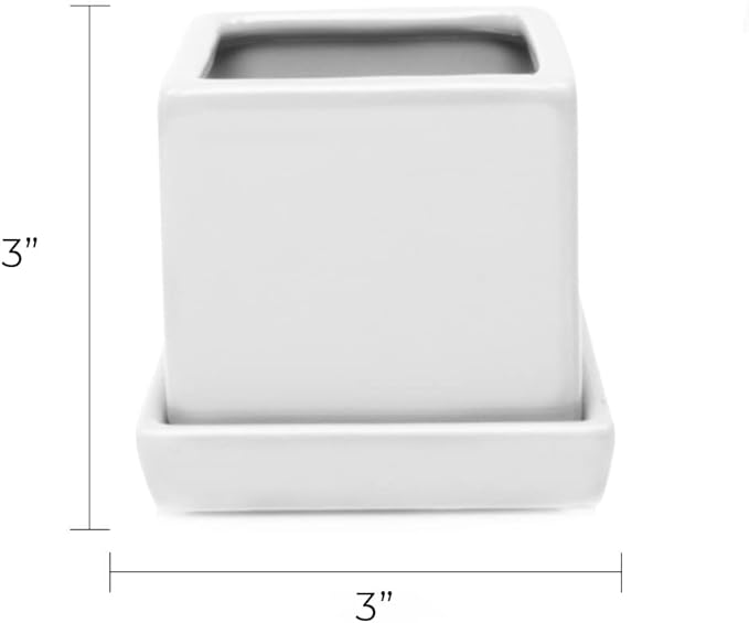 CHIVE - 3 Piece Set White Square Succulent Cactus Planter Pot, 3 Inch Ceramic Flower Plant Container, Drainage Hole/Saucer, Mini Pot Indoor/Outdoor Garden