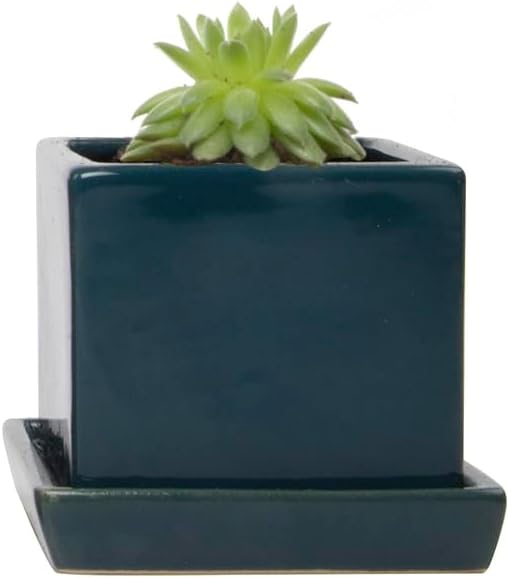 CHIVE - 3 Piece Set Square Succulent Cactus Planter Pot, 3 Inch Ceramic Flower Plant Container, Drainage Hole/Saucer, Mini Pot Indoor/Outdoor Garden (Green Blue)
